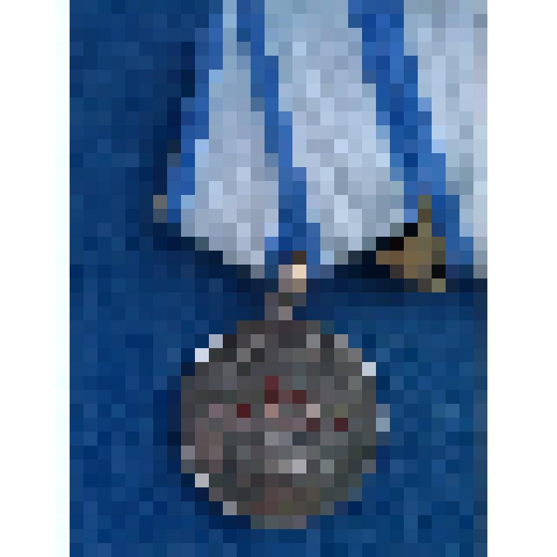 Медаль "За Отвагу"  №3035181