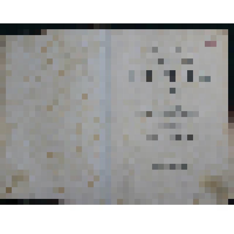 Лесков Н.С. ПСС. Тт. 9-12. – СПб