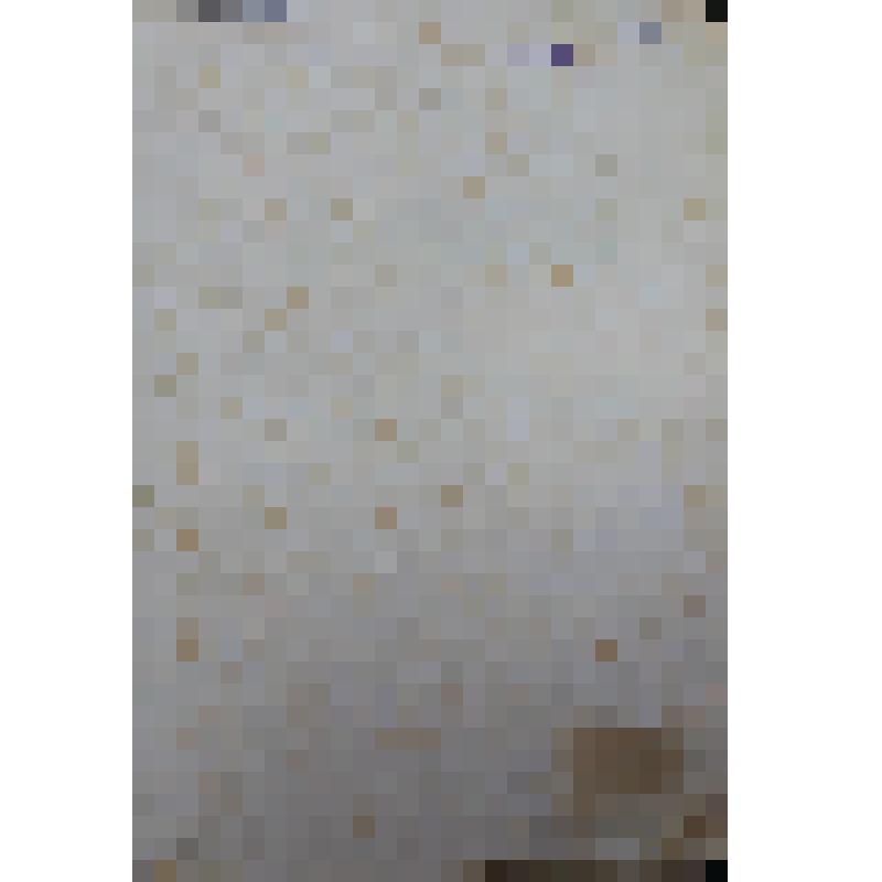 Лесков Н.С. ПСС. Тт. 9-12. – СПб