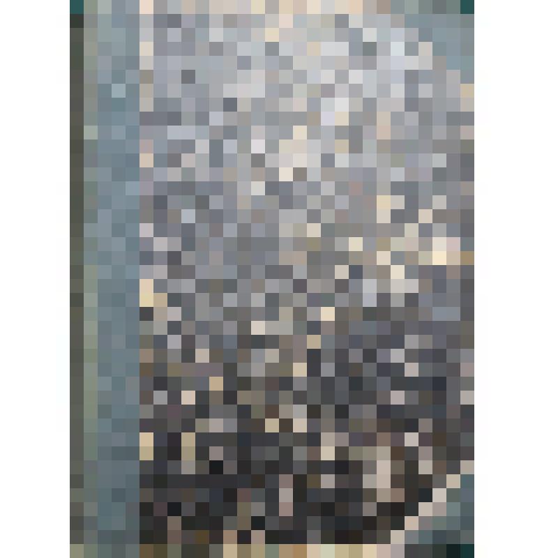 Лесков Н.С. ПСС. Тт. 9-12. – СПб