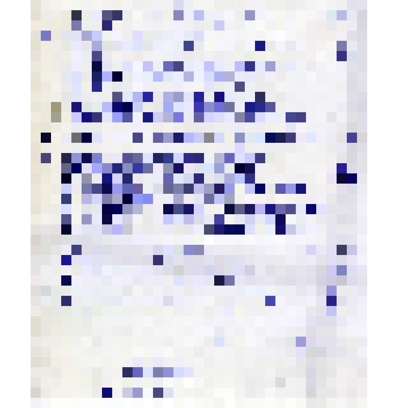 Расписка о получении сотрудником Центрального государственного архива народного хозяйства СССР Е.Н.Коровиной документов из личного архива А.Е.Бочкина. 24 марта 1980г