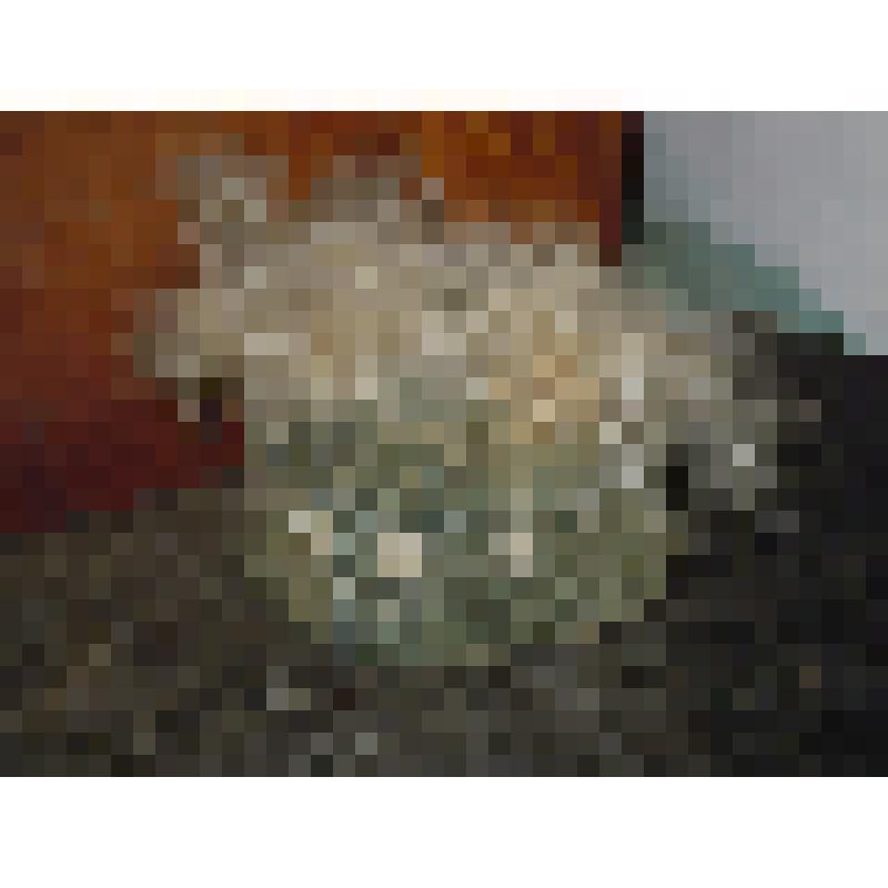 Тюбетейка женская "такия"