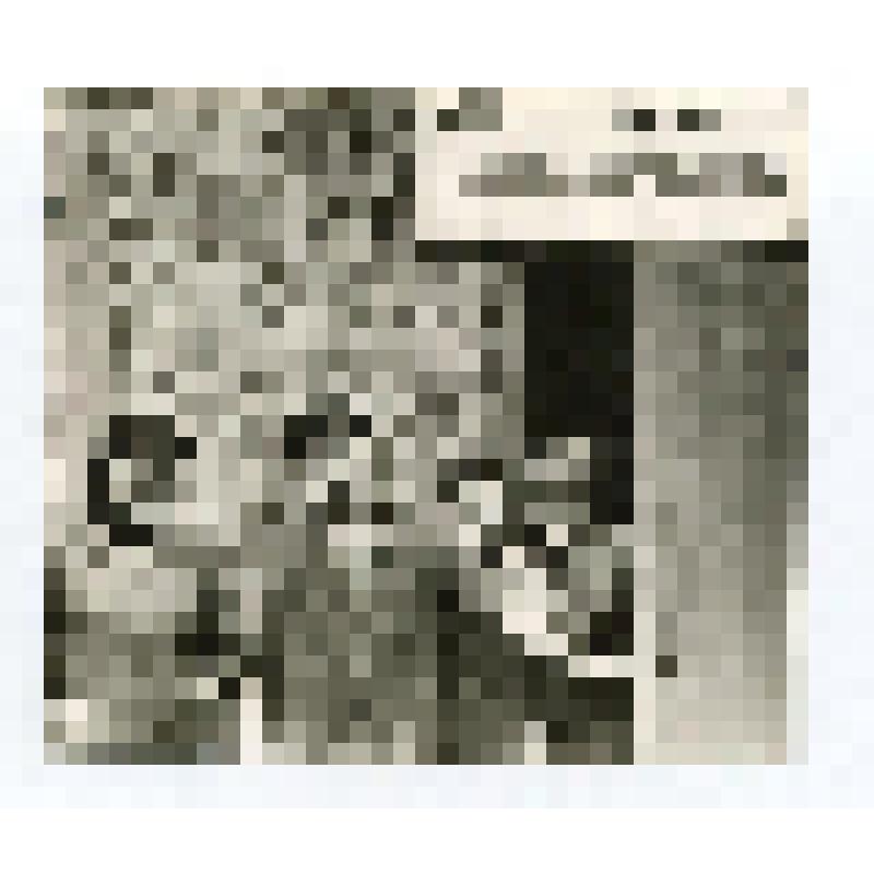 Фото групповое. Бойцы отряда «Шаховчанка»