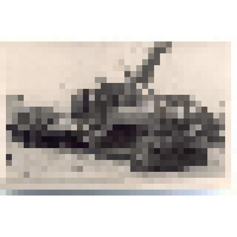 Фотоснимок. Трейлер грузоподъемностью 40 т (по истории Подпорожского района XIX - XX вв.)