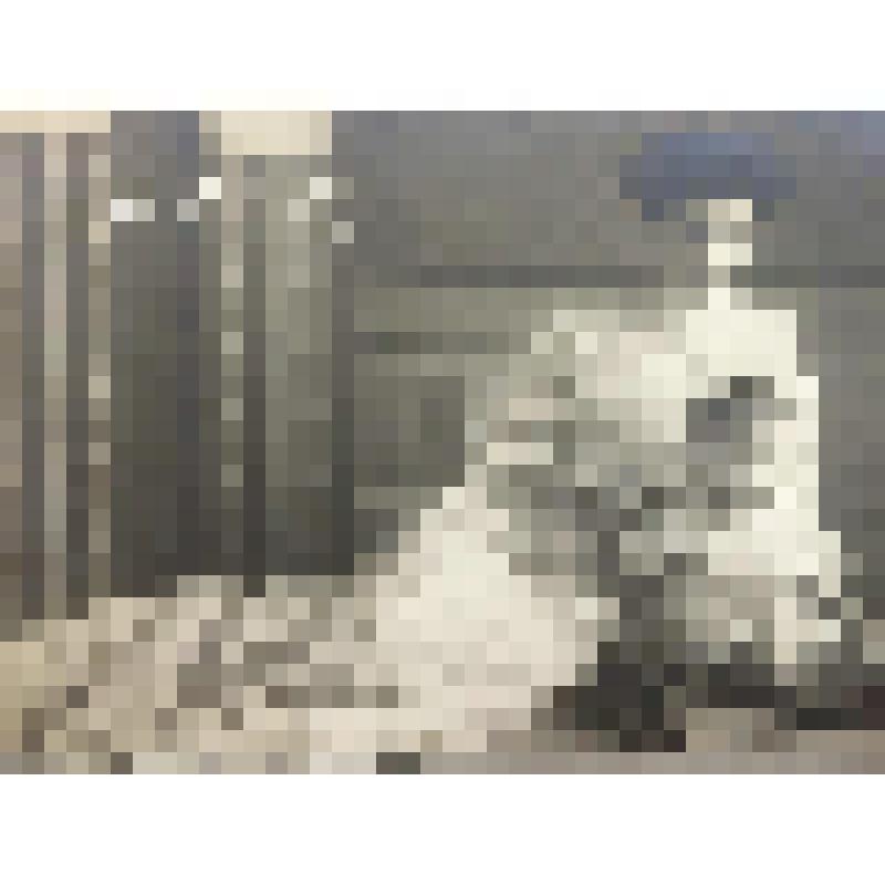 Открытка "Кронпринцесса Цецилия с принцем Вильгельмом"