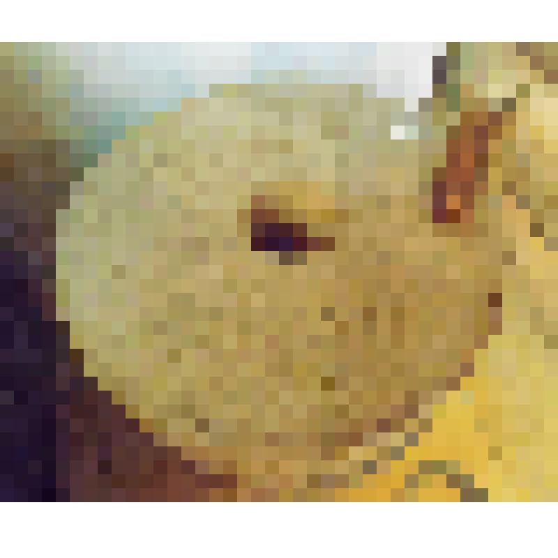 Жернова. (верхний круг)