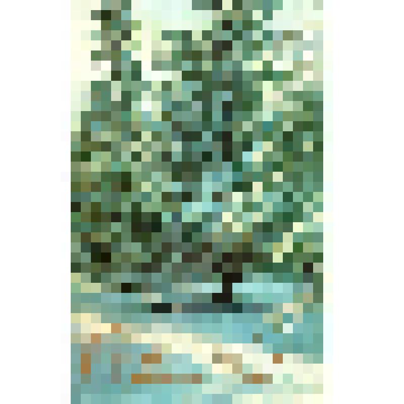 Документ. Открытка от Зелинской Н.Е. из г. Москвы Князевой В.П. от 27.12.1973 г