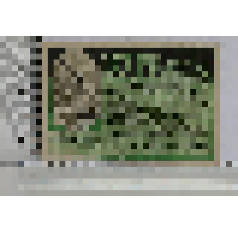 Германия, Швайх (Schweich). Нотгельд. 10 пфеннигов. 1 октября 1920 г