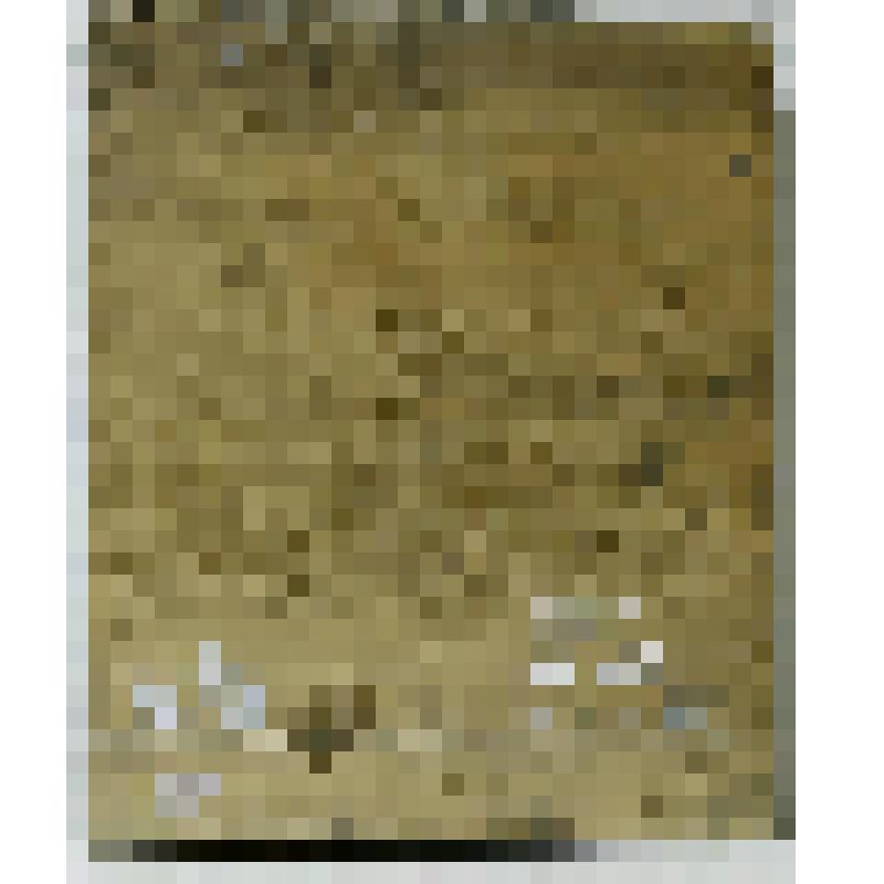 Воскресение. Икона