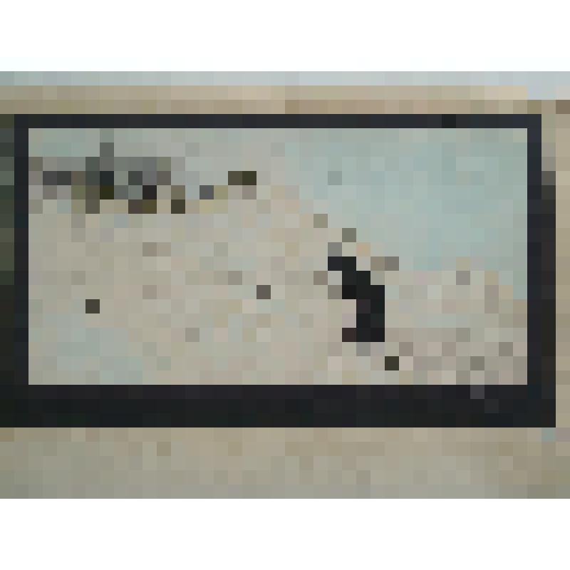 Карикатура на жителей Таганрога из альбома, "Крепость на холме"