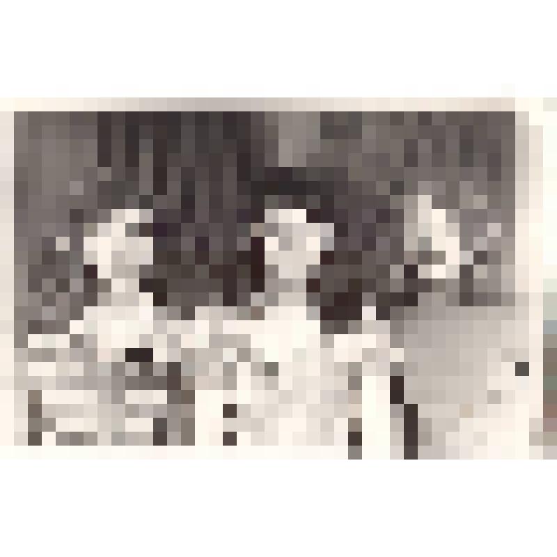 Бригада Давлетбакиевой Д.М.-хлебопеки-булочек