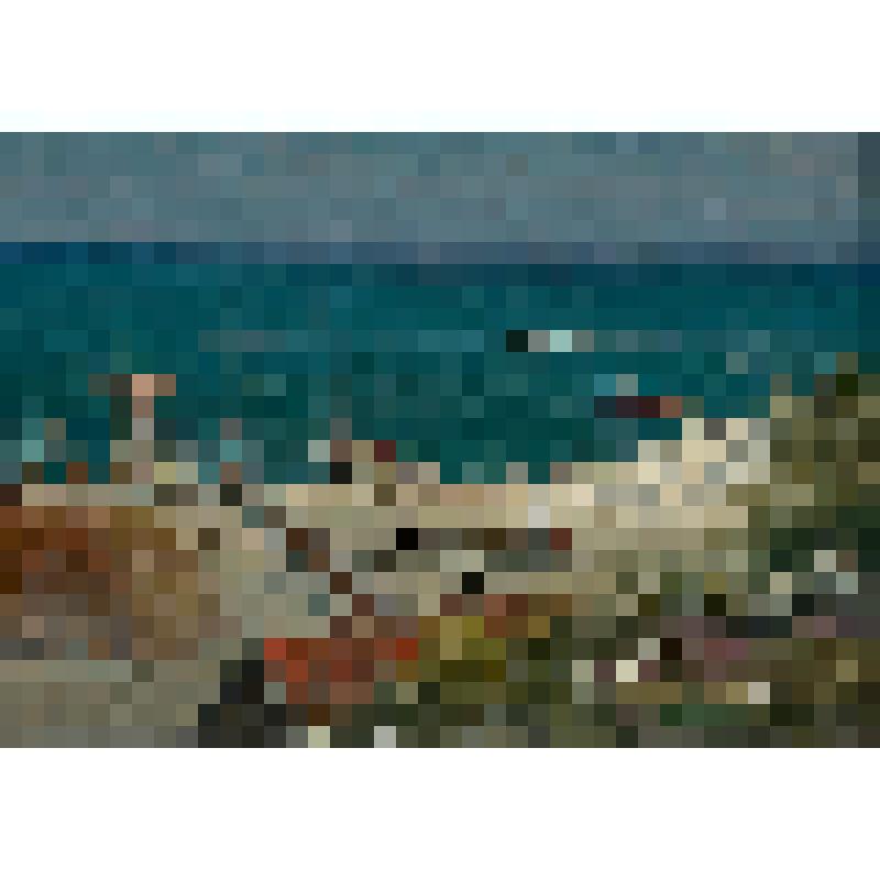 Рыболовецкий колхоз на Азове