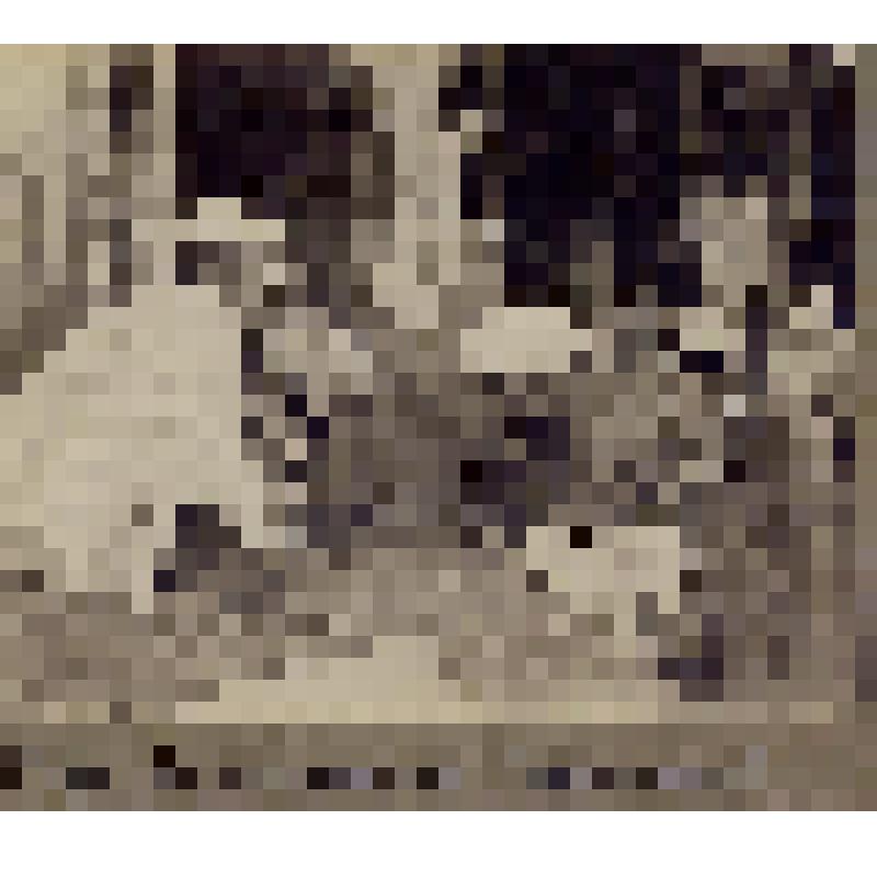 Фотоотпечаток. Игра в шахматы. Оседлое население