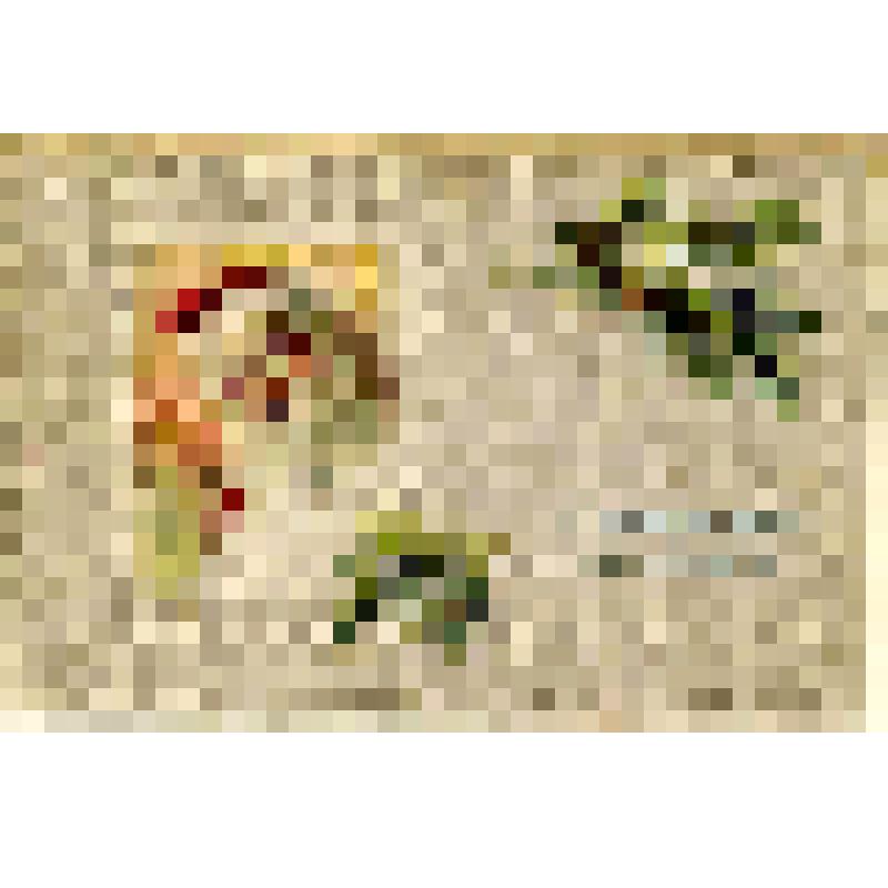 Открытка «Съ Рождествомъ христовымъ!»