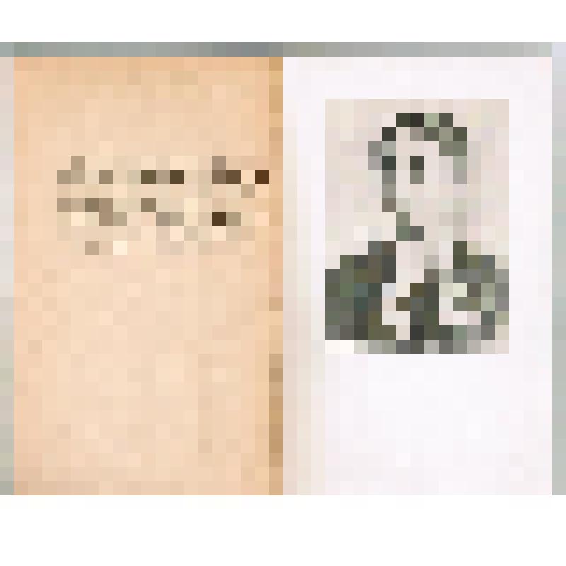 Книга. Юлия Всеволодовна Лермонтова: 1846-1919 - М.: Наука, 1967