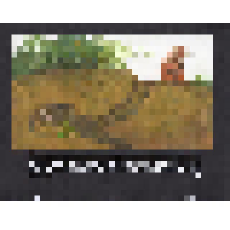 эскиз кадра к макету диафильма. Лист № 16: Норка хомяка
Фильм: Кто как к зиме готовится. 1989