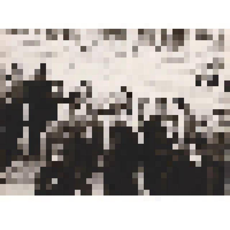 Фотография ч/б. Демонстрация трудящихся 1 мая. Город Нефтеюганск. Фондообразователь: Общественный музей Нефтеюганска