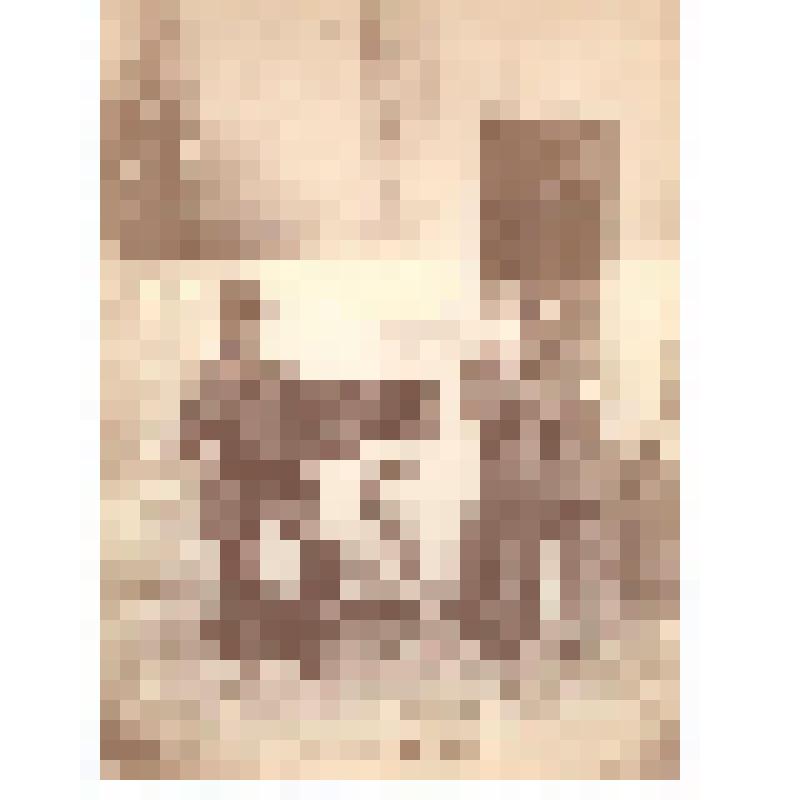 Фотография. Бродячие музыканты с обезьянкой