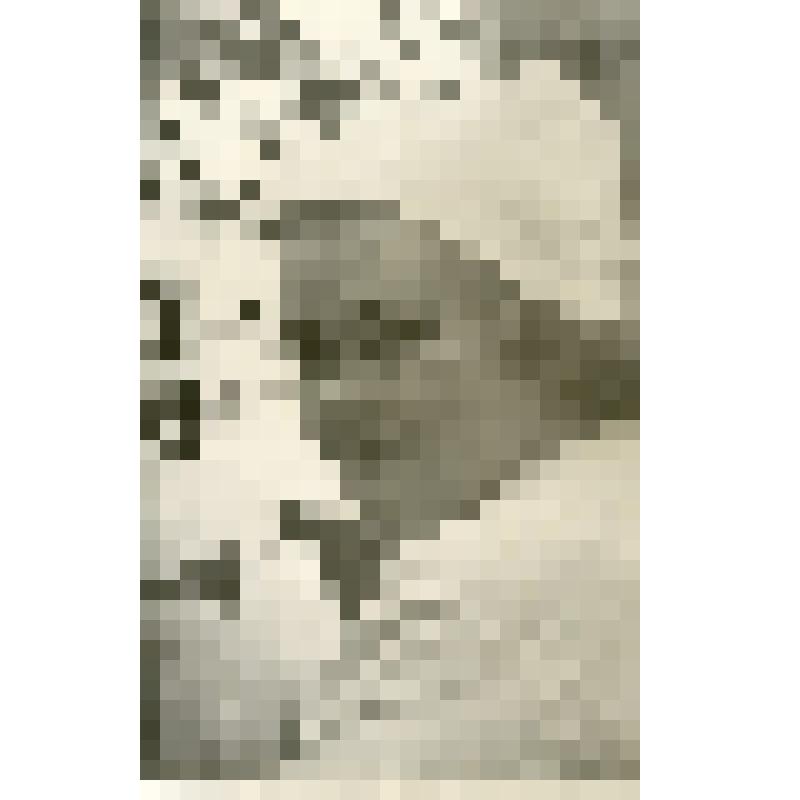 Фотография ч/б. Курчеева Людмила Кузьмовна на рабочем месте. СХК объект №1, БТК (бюро технического контроля)