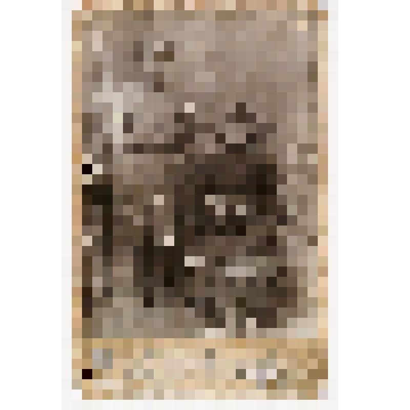 Фото на паспарту. Семья Грибановых: Ефрем Иванович, бедняк, с  женой - Анной Афанасьевной - жители д.Тименовка Курганского округа