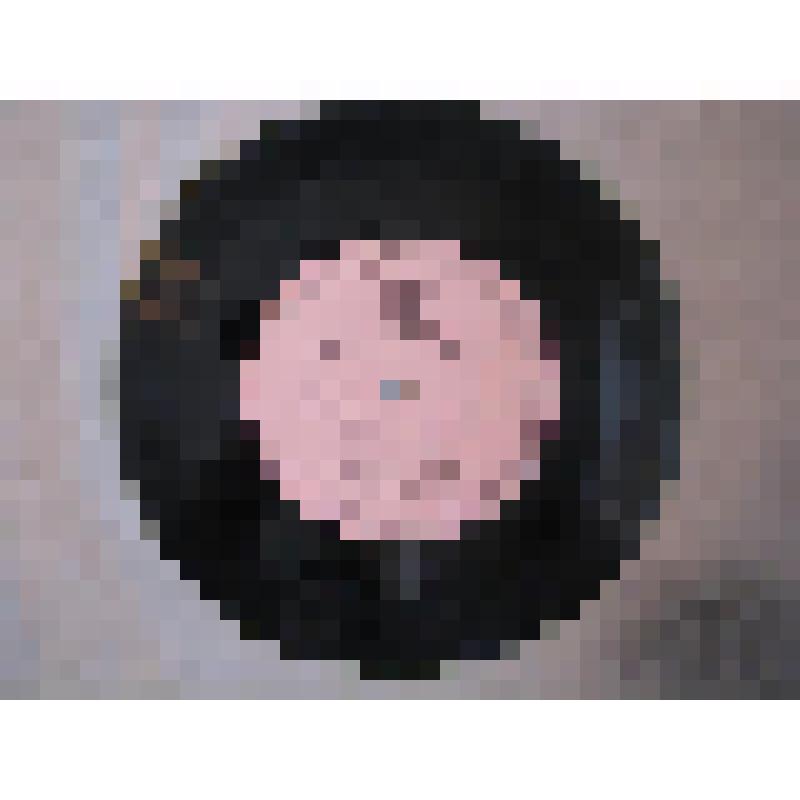 Грампластинка. Людмила Мишова. Молдавские песни