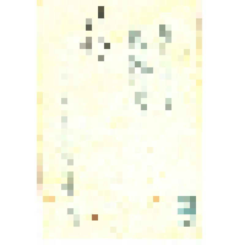 Фото-открытка цветная. Тамара Сёмина