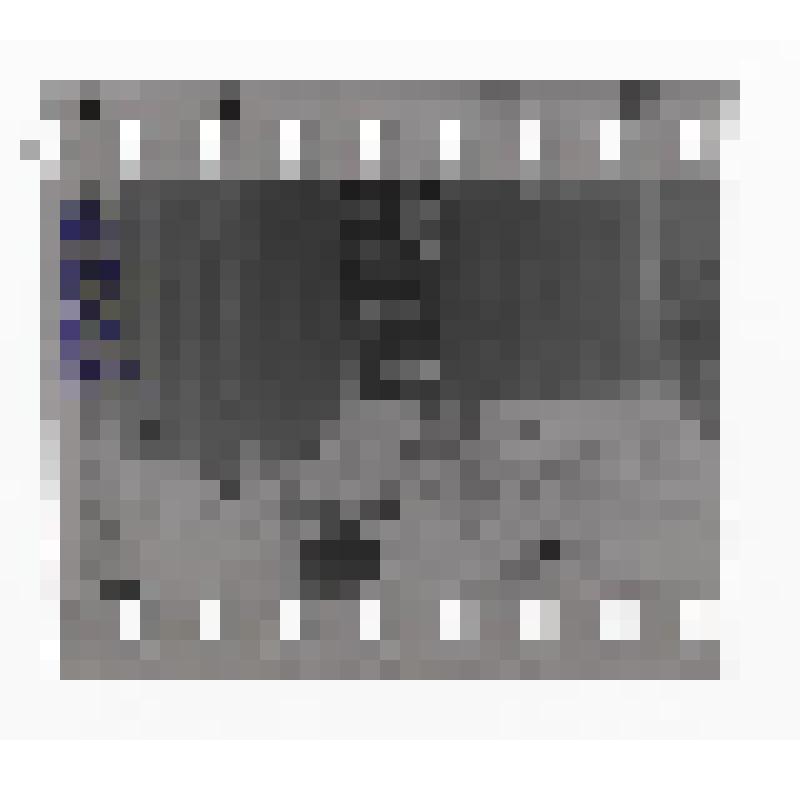 Выставка, посвященная Н.А. Островскому в Государственном литературном музее