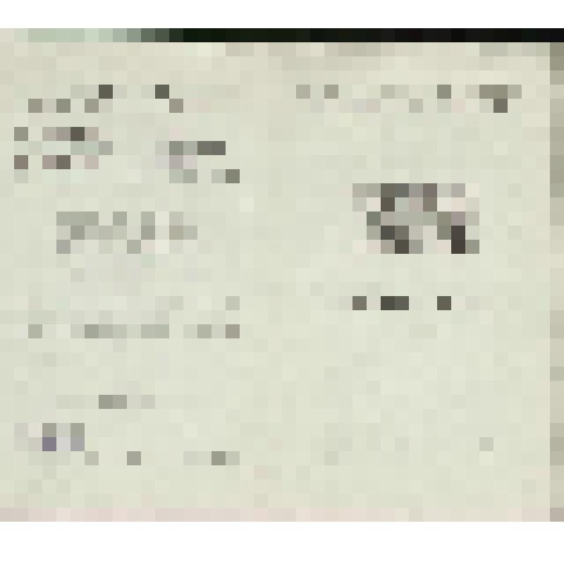 Программа. "Медный всадник" (Дирижер - Файер Ю.Ф. Постановка - Захаров Р.В. Художник - Бобышов М.П.). Москва, Государственный академический Большой театр СССР