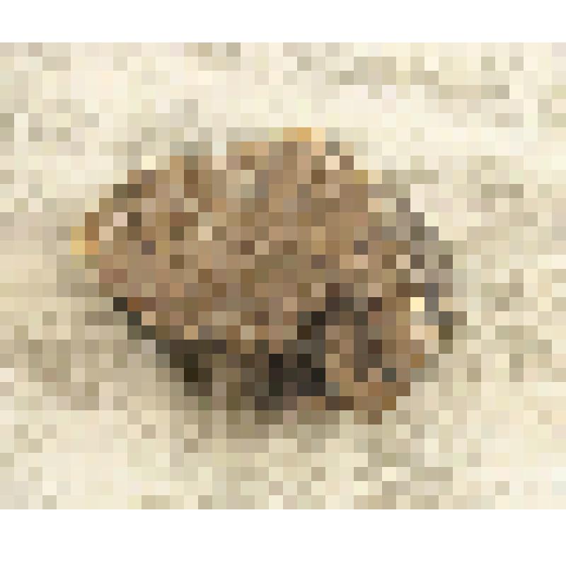 Фрагмент керамики