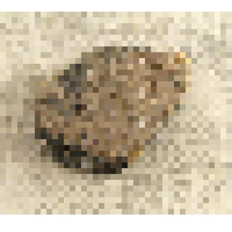 Фрагмент керамики