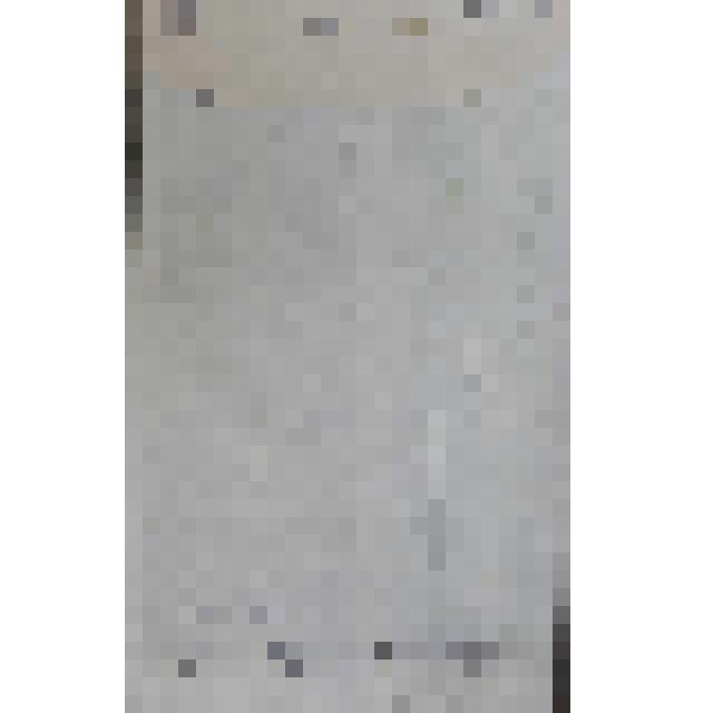 Портрет королевы Анны