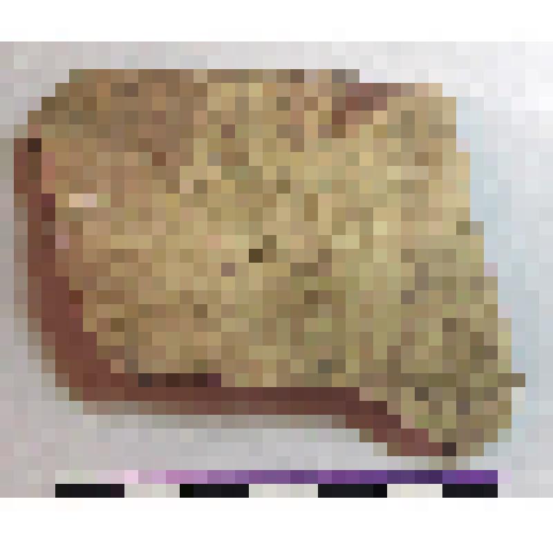 Фрагмент плеча амфоры типа D с дипинти