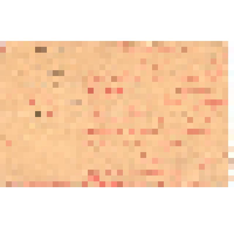 Удостоверение члена РКП(б) Ерохина Д., который командируется в ст. Преображенскую и ст. Петровскую для проведения митинга и инструктирования ячейки. Хоперский округ РКП(б) № 1219