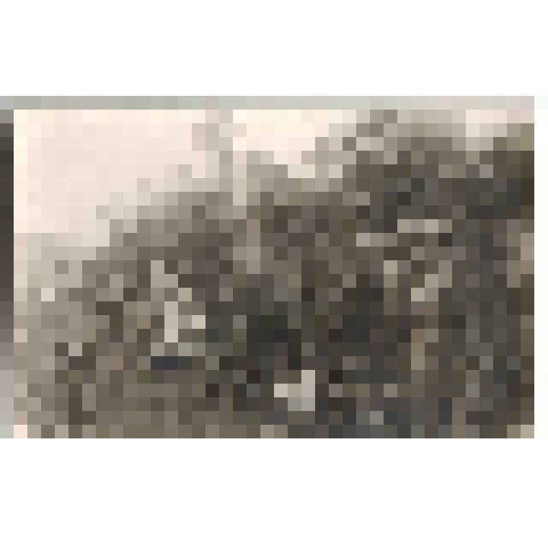 Ф/чб. Бойцы 654-го стр. полка 3-й батареи 148-й стр. дивизии на привале после боя на Моравско-Остравском направлении Чехословакии. Комдив Гольцов М.И. и нач. п/о Волгин  В.Г. объезжают полки с проверкой. Чехословакия. Апрель 1945