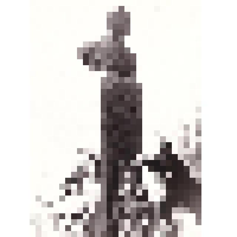 Набор фотографий. Памятник А. Горовцу