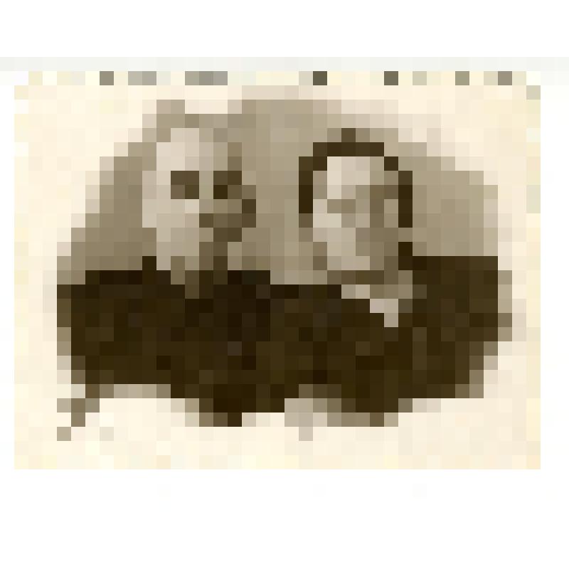 Фотопортрет двойной. Бывшие заключенные Ивдельлага, супруги  Берта Михайловна Пересада и Семен Ефимович Михалевич