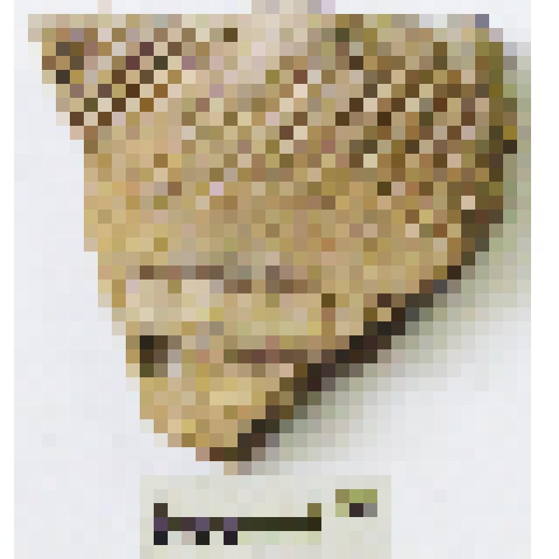 Фрагмент венчика сосуда