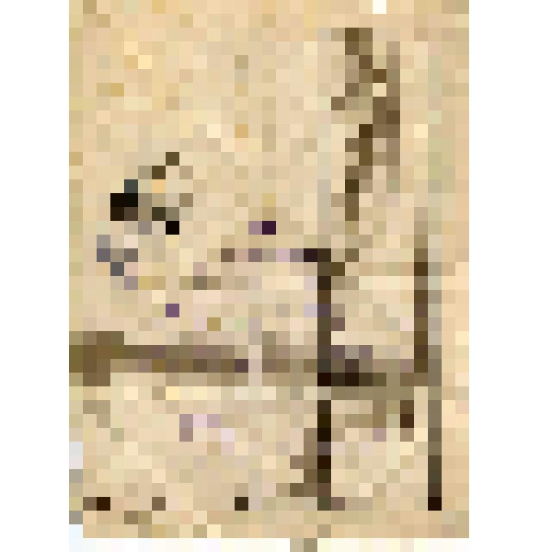 Письмо А.А.Торбинской (матери) в г. Александров от А.Н.Торбинского с фронта