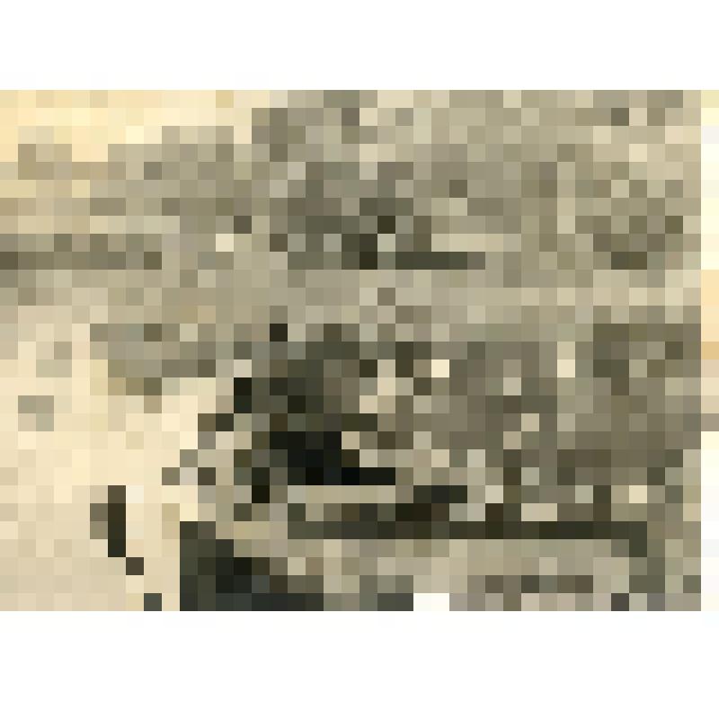 Фотография. Тютчев Иван Фёдорович в лодке на пруду, у острова