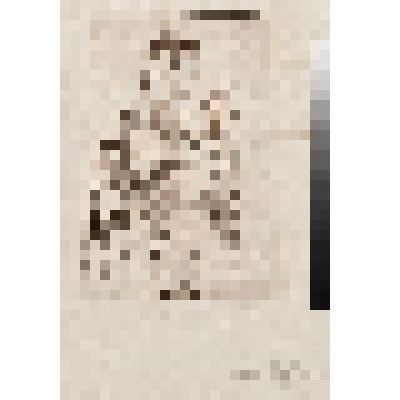 Гладильщица, гравюра