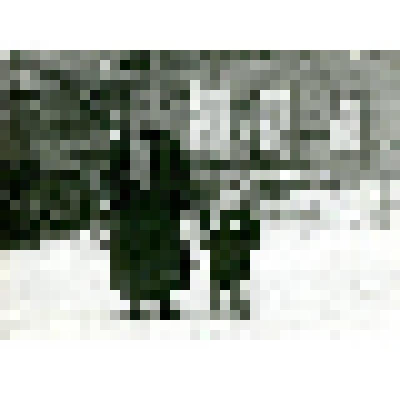 Фотография. Ледяные окна. Учительница М.Н. Кокшарская с сыном