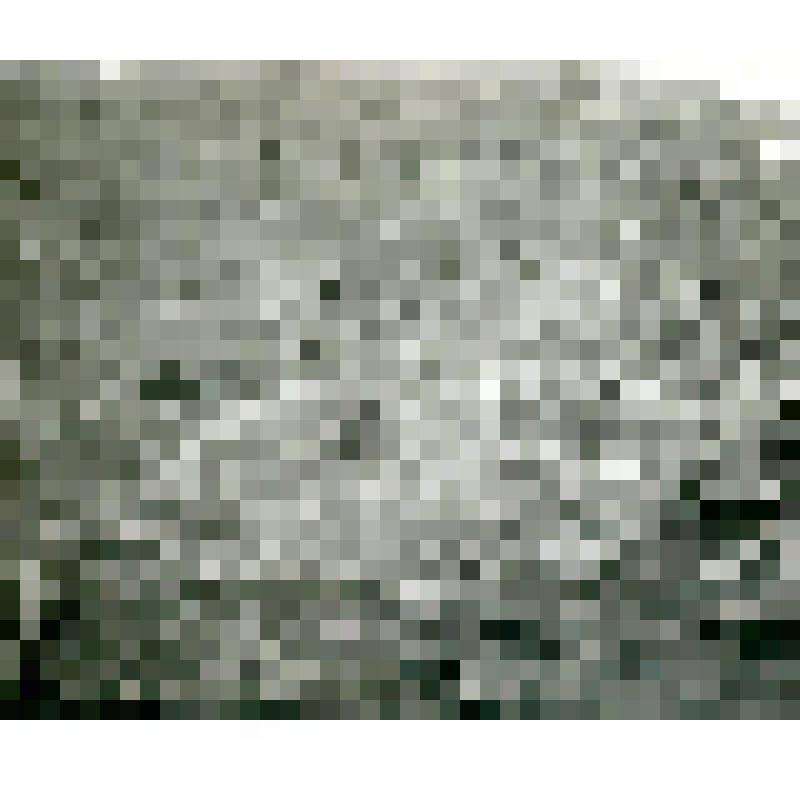 Фотография. Стланиковая гарь на гольце вблизи р. Калымкан, напротив р. Ульи