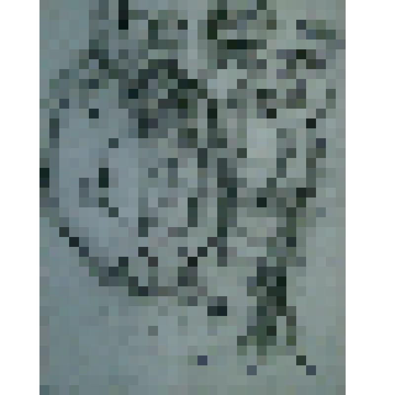 К высшей мере. Из цикла "Невинно страдавшие"