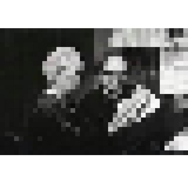 Негатив черно-белый. Вводы. Мэри - Барнет О.Б.;  Валерий - Мягков А.В. "Мишин юбилей" (1994 - 2001)