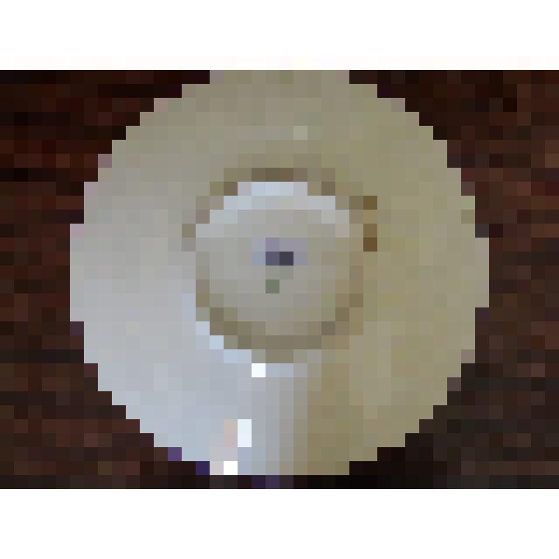 Тарелка декоративная сувенирная с эмблемой "Гвардия СССР"