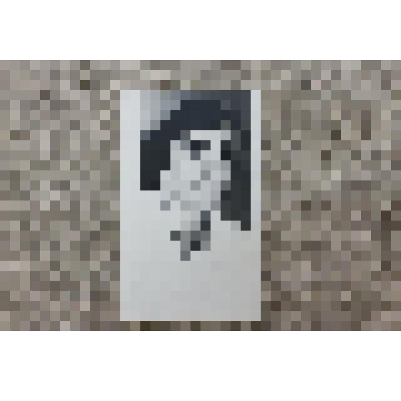 Фотография ч/б. Портрет Петра Львовича Гитер, врача - невропатолога Монзенской больницы № 2