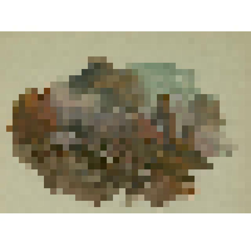 «Пожар Москвы (Зловещий ужас)»