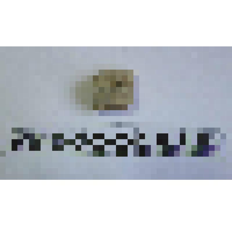 Ручка амфоры типа Зеест 72