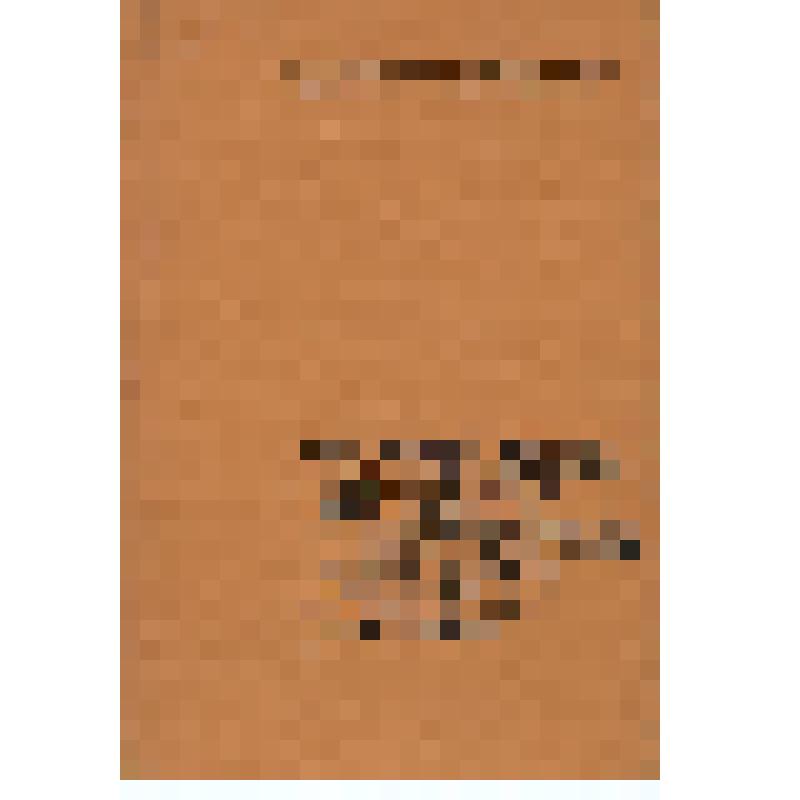 Книга. Телеграфные аппараты и аппаратура передачи данных. Учебник для техникумов