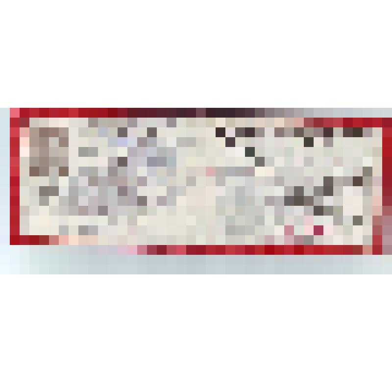 Удостоверение № 2 Чуйкова И.И., директора Ленинградского завода "Центролит"